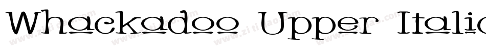 Whackadoo Upper Italic字体转换